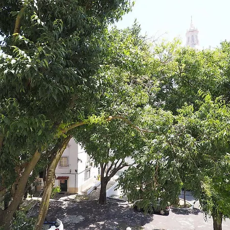 Apartment Mosteiro - Altstadt